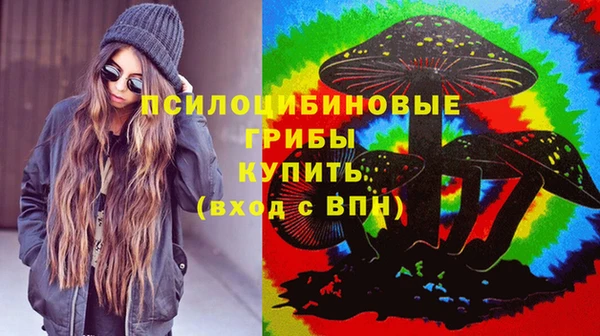 крисы Богданович