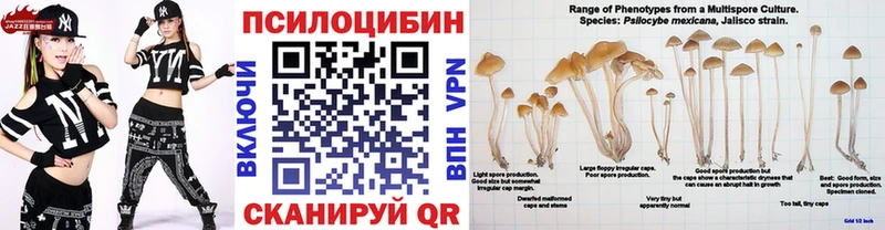 даркнет как зайти Невель kraken ТОР Псилоцибиновые грибы GOLDEN TEACHER цены